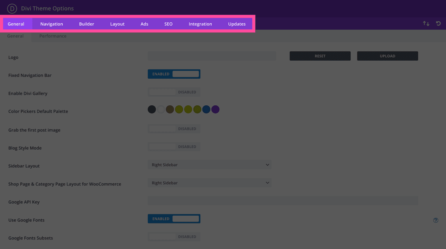 Using The Divi Theme Options | Elegant Themes Documentation