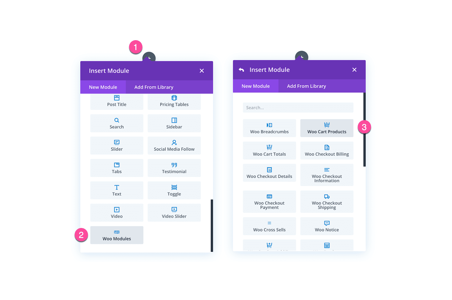 How to load the Divi Woo Cart Products Module