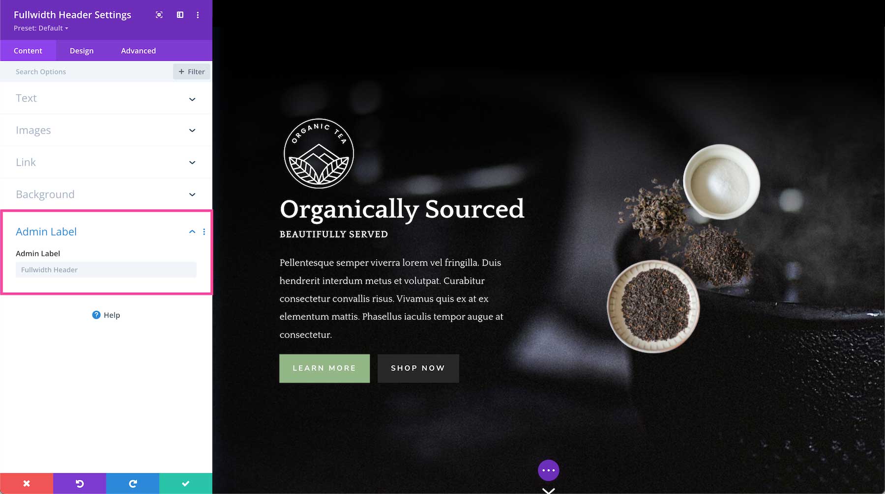 Divi Fullwidth Header Module admin label