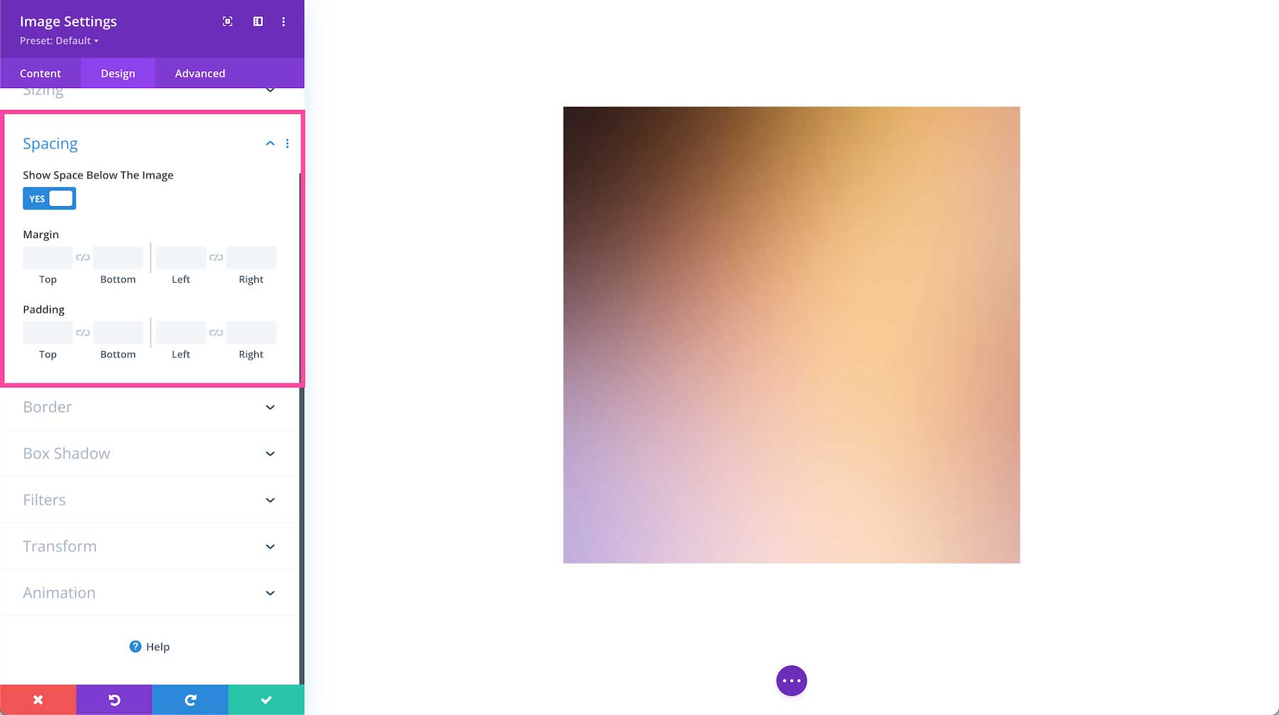 Divi Image Module spacing options