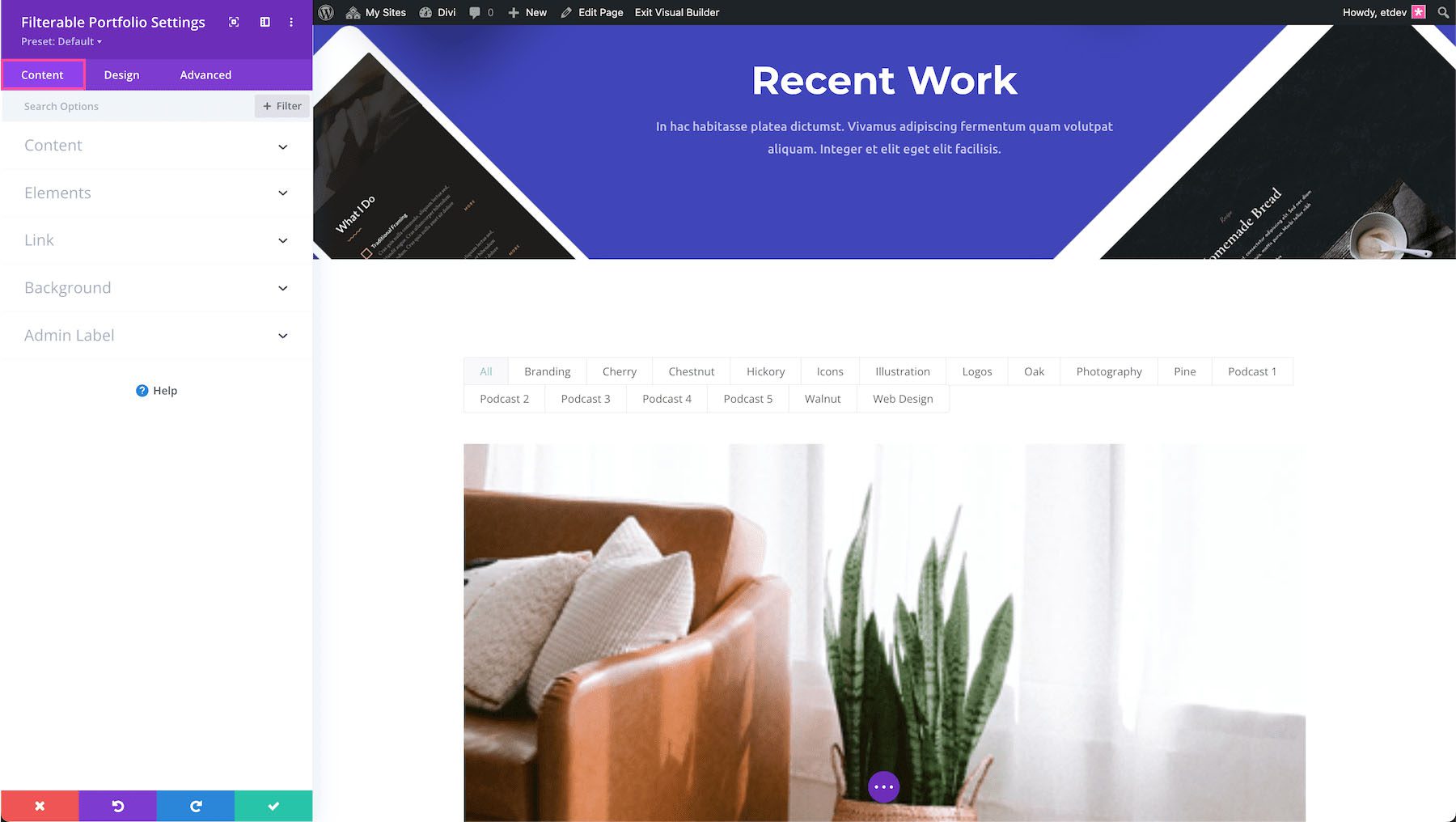 Divi Filterable Portfolio Module content settings