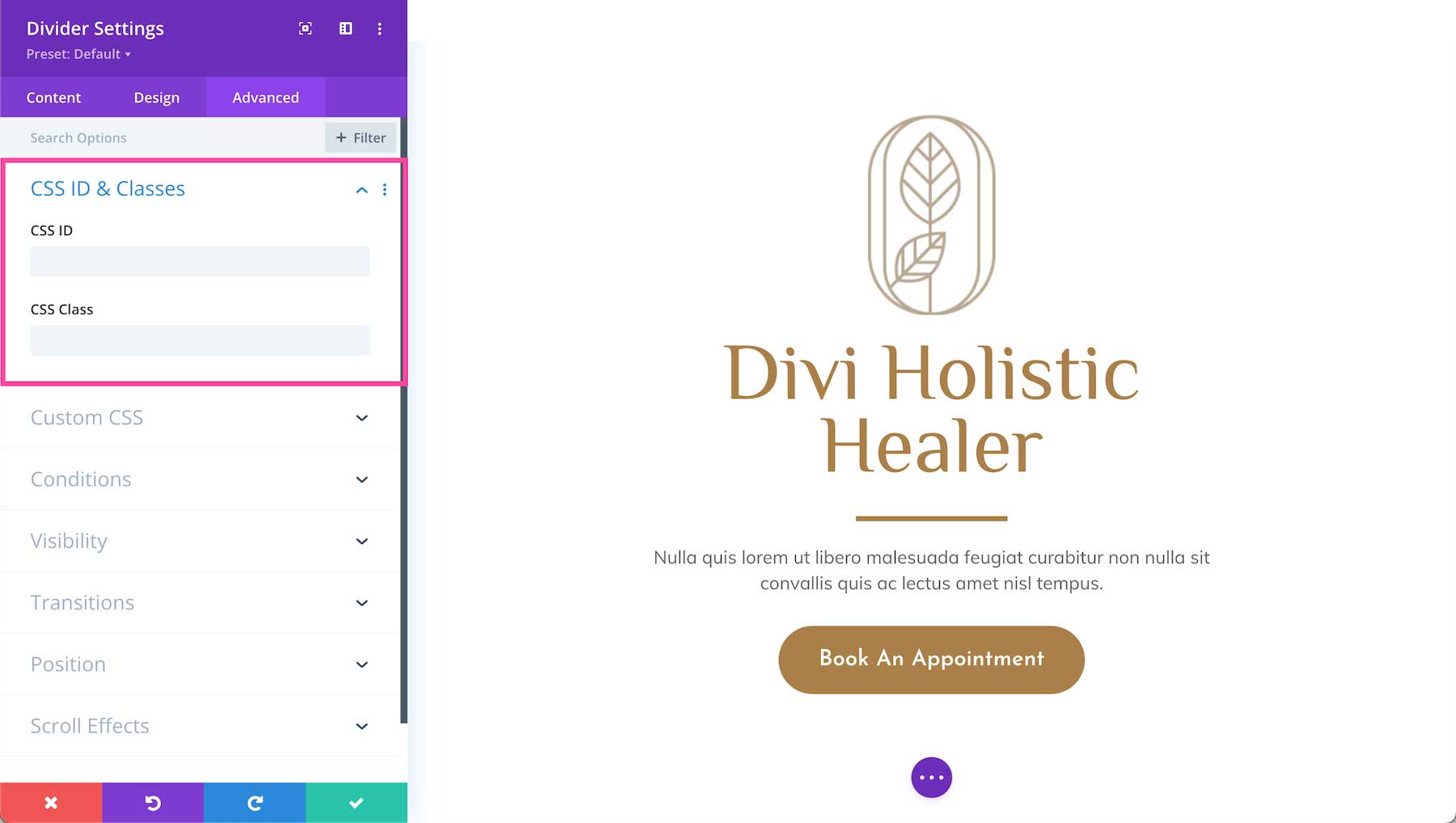 Divi Divider Module css ID and classes