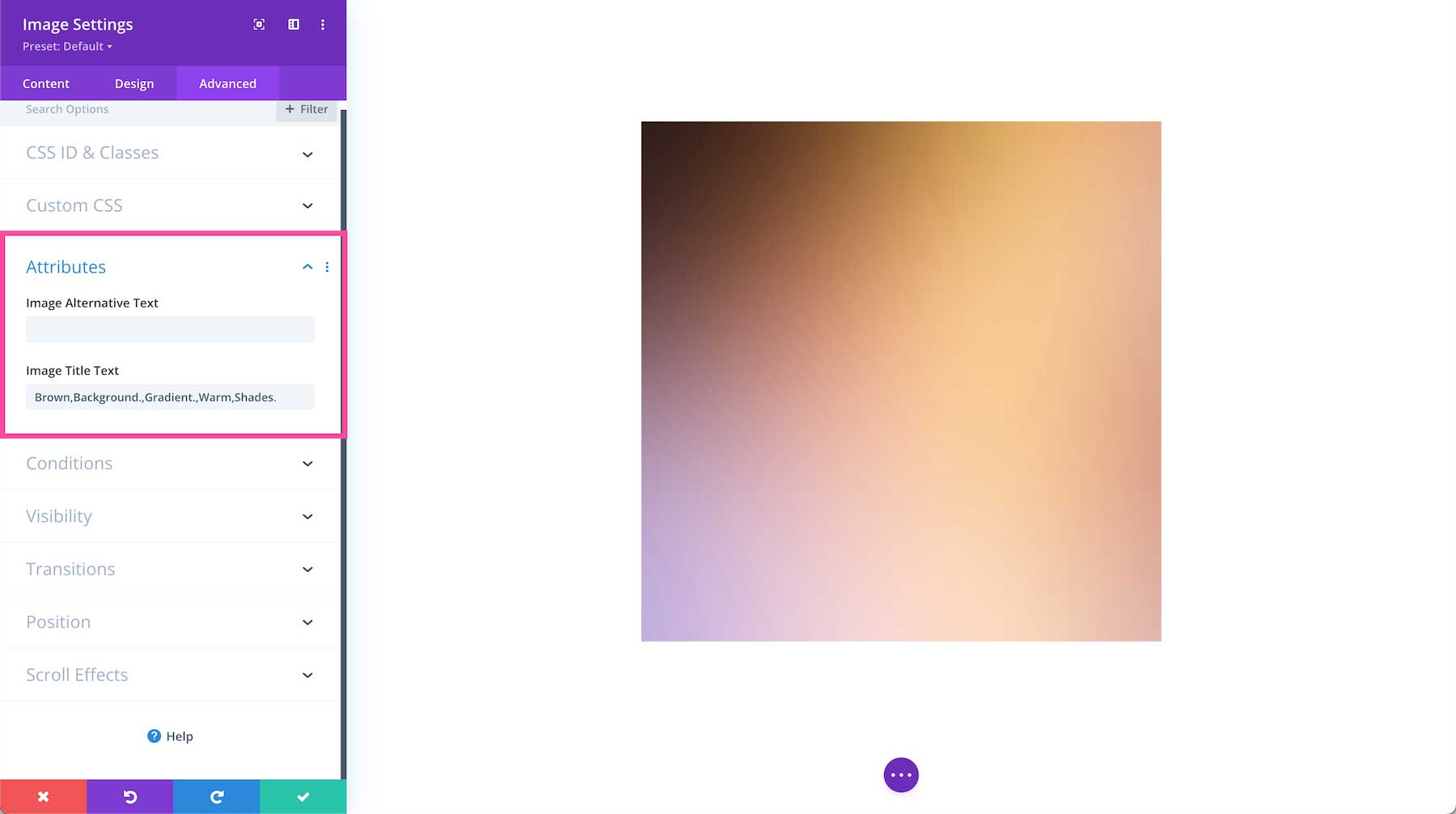 Divi Image Module attributes