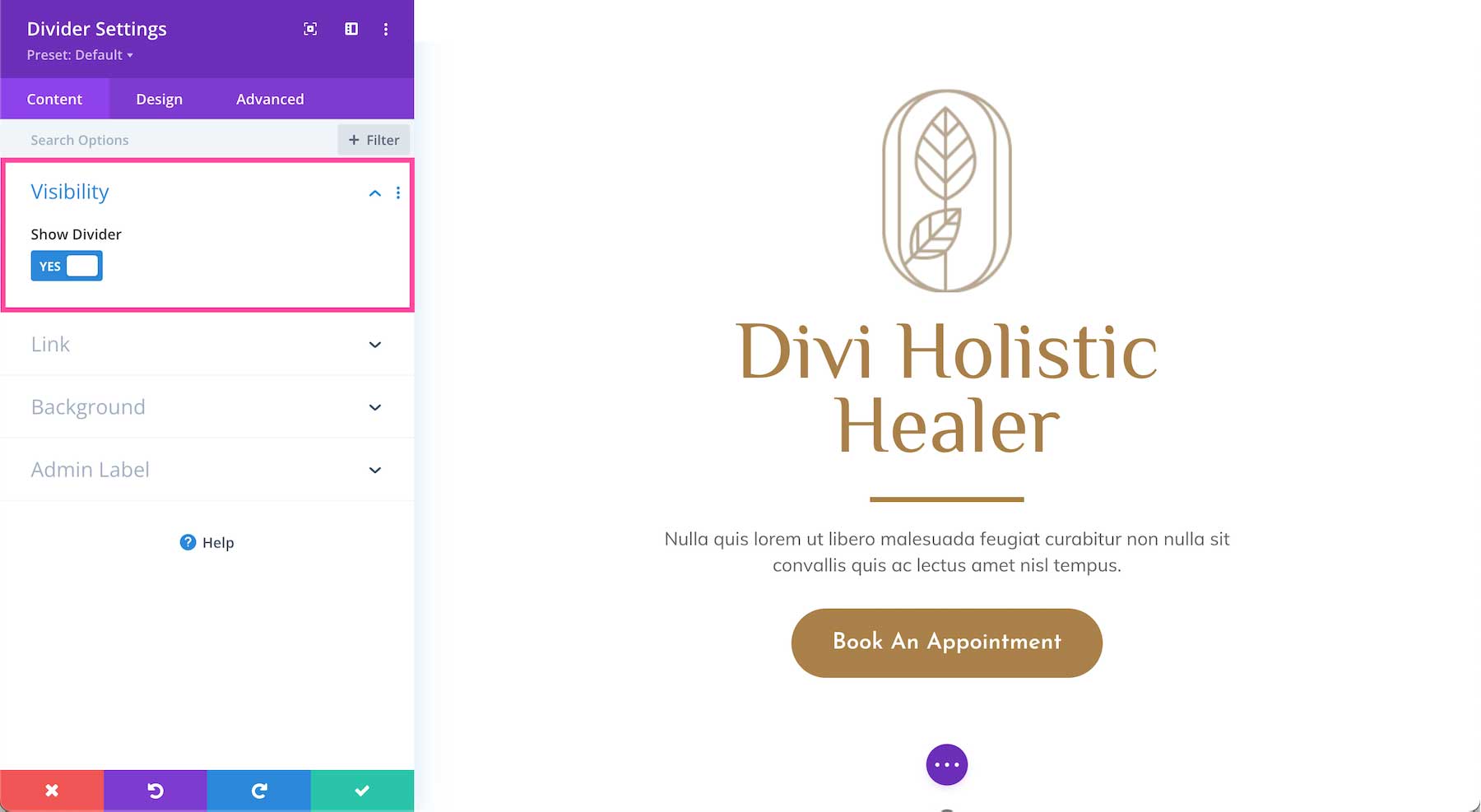 Divi Divider Module visibility options