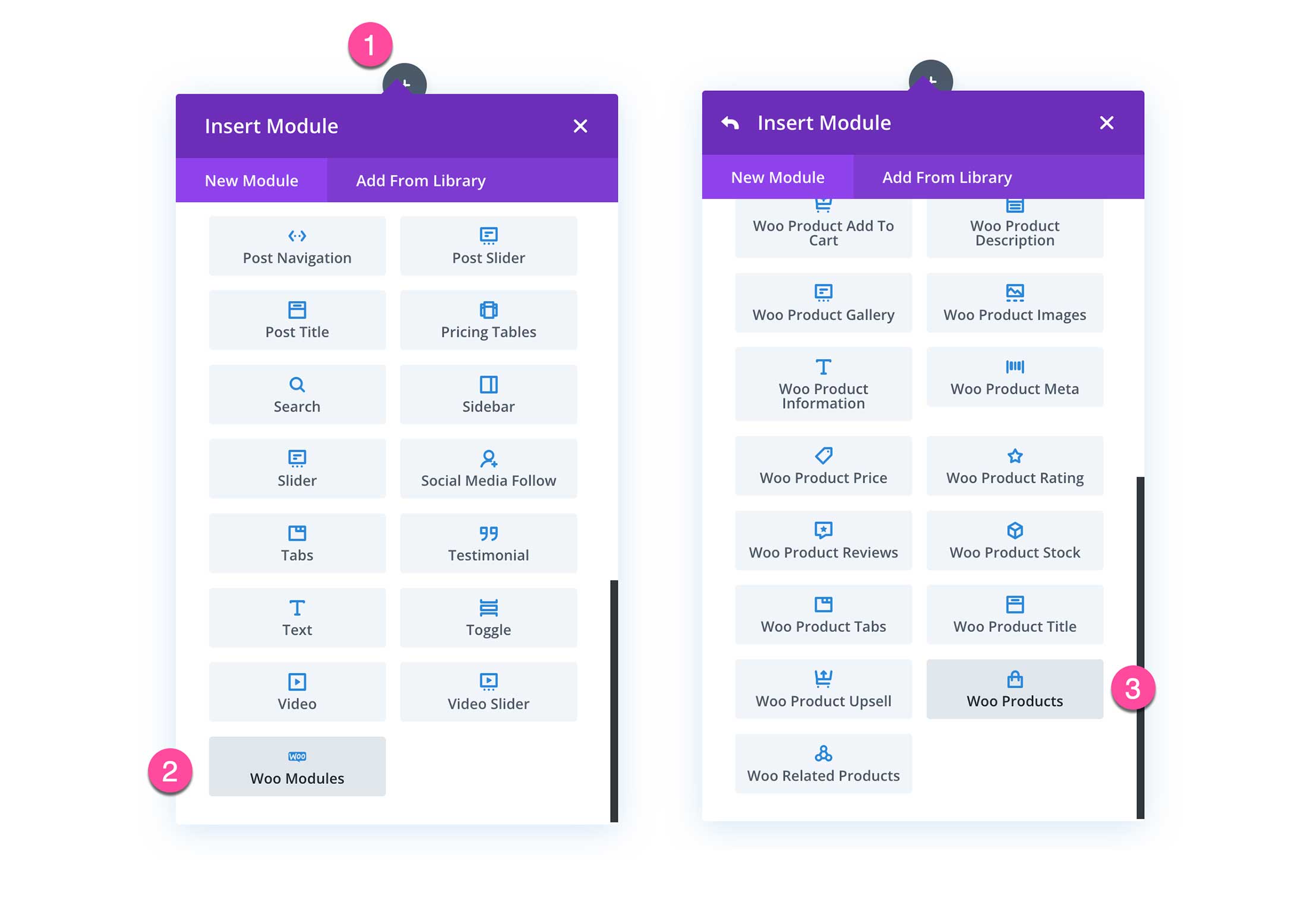 Add the Divi Woo Products Module