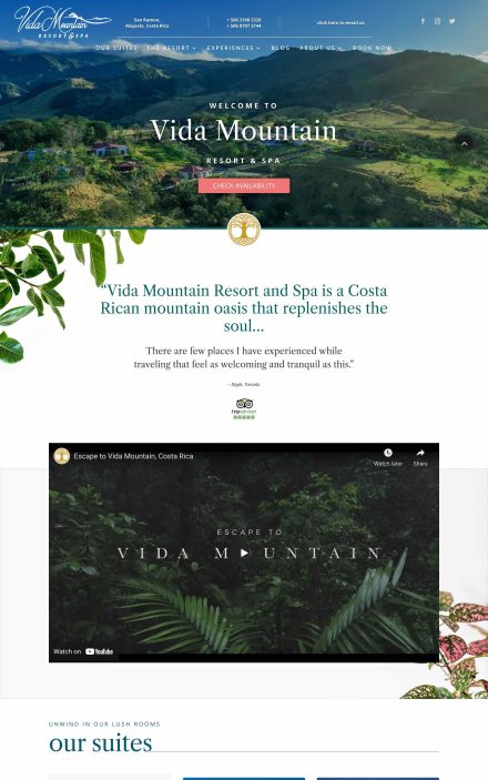 Vida Mountain