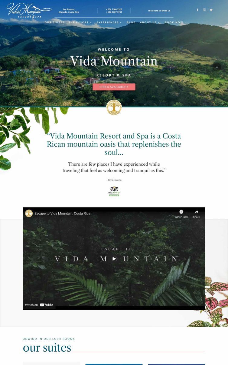 Vida Mountain Screenshot 1