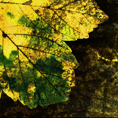 At vero eos et accusamus et iusto