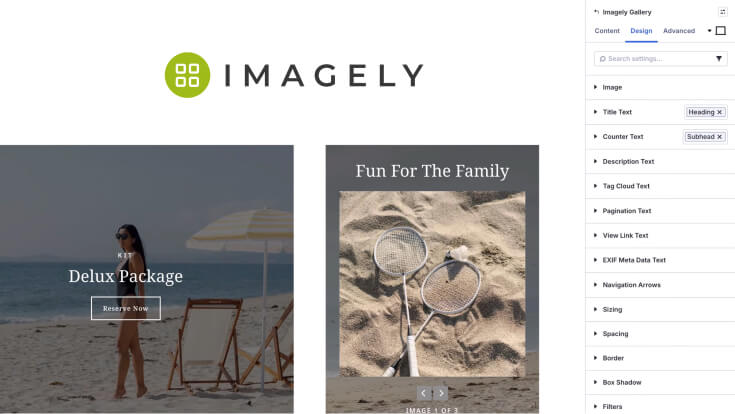 Divi 5 Imagely module for galleries and sliders