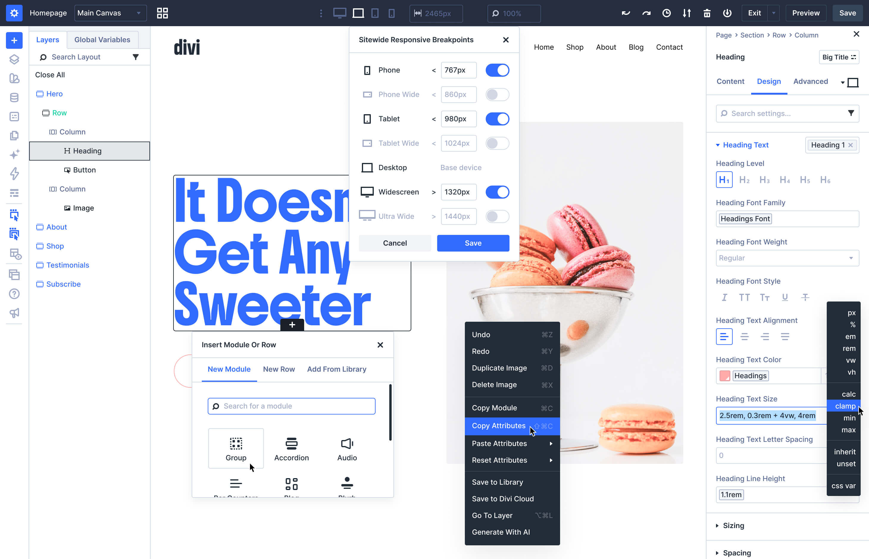 Divi preview