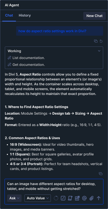 Divi AI Agent Support