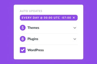 Divi Dash Auto Updates