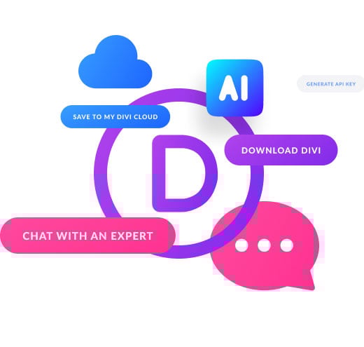Divi Teams Access