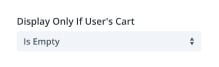 Conditional Display Option