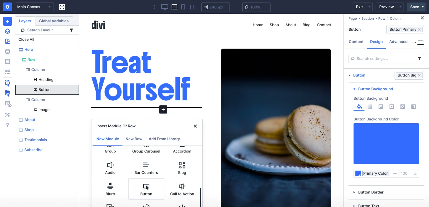 Divi theme preview