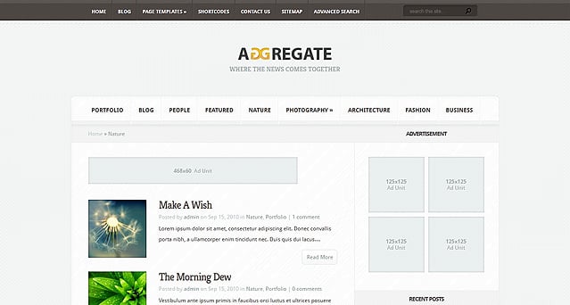 Best Premium WordPress Themes