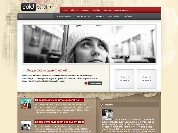 ColdStone WordPress Theme