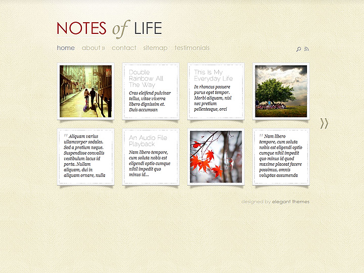 DailyNotes WordPress Theme