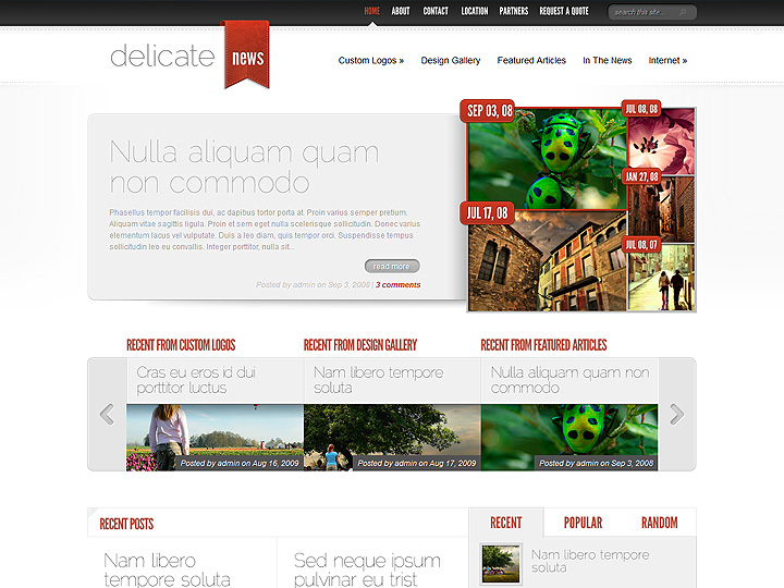 DelicateNews WordPress Theme