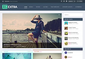 ecommerce wp themes