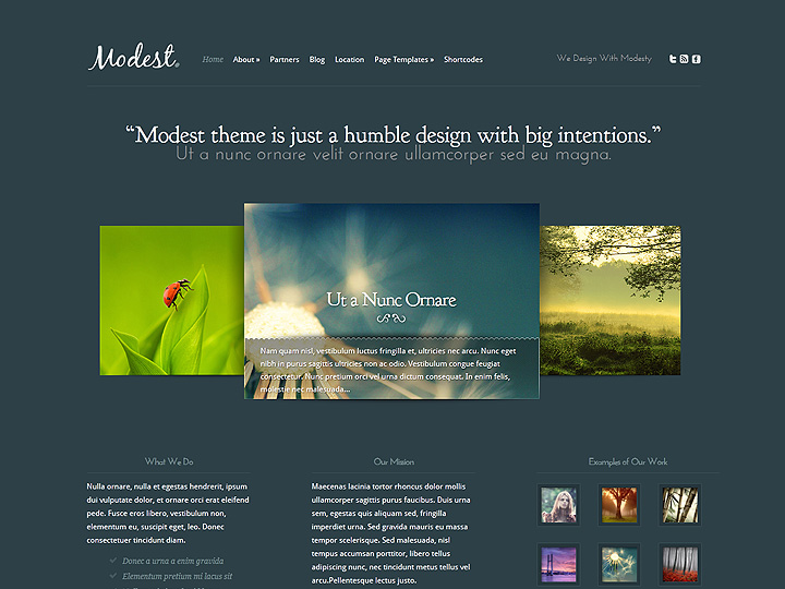 Modest WordPress Theme