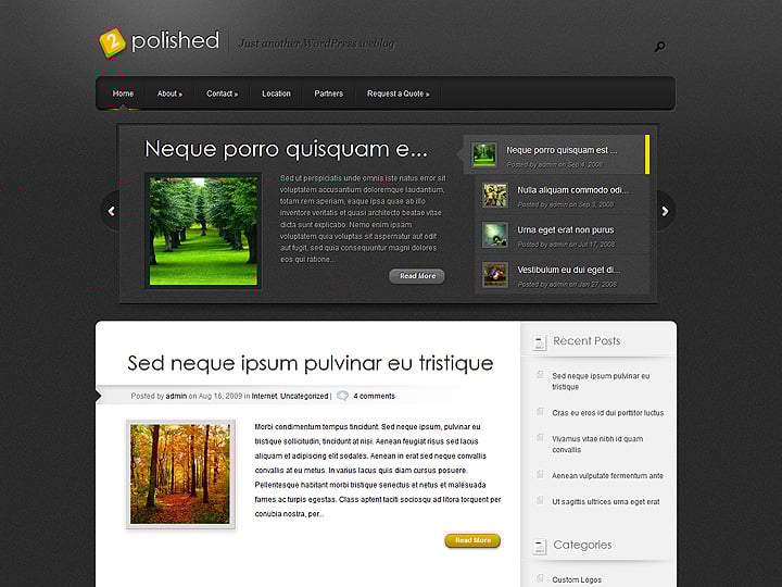 Polished WordPress Theme