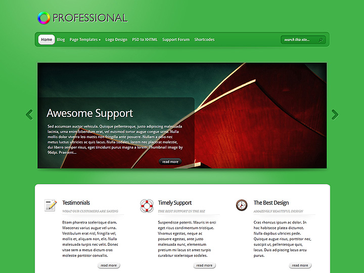 TheProfessional WordPress Theme