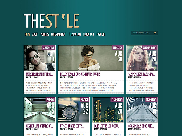 TheStyle WordPress Theme