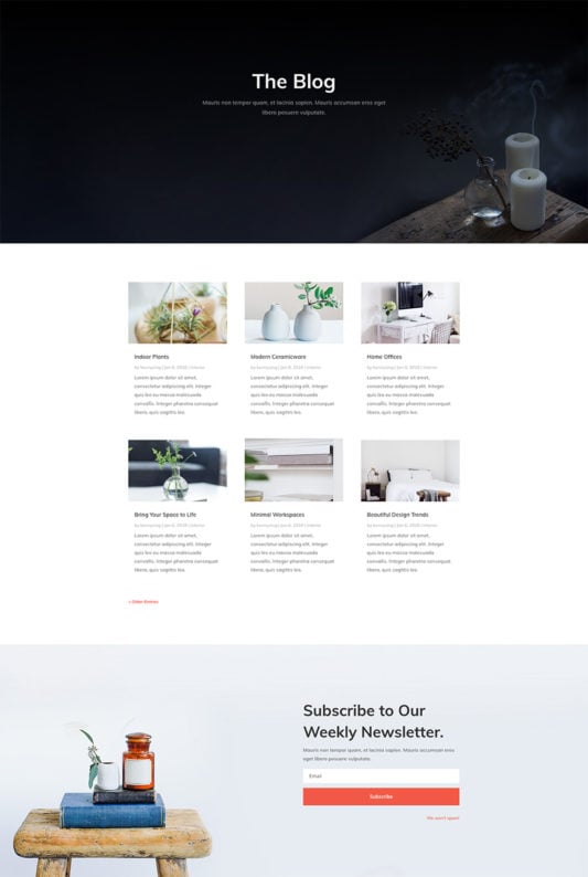 Divi Layout By Elegant Themes