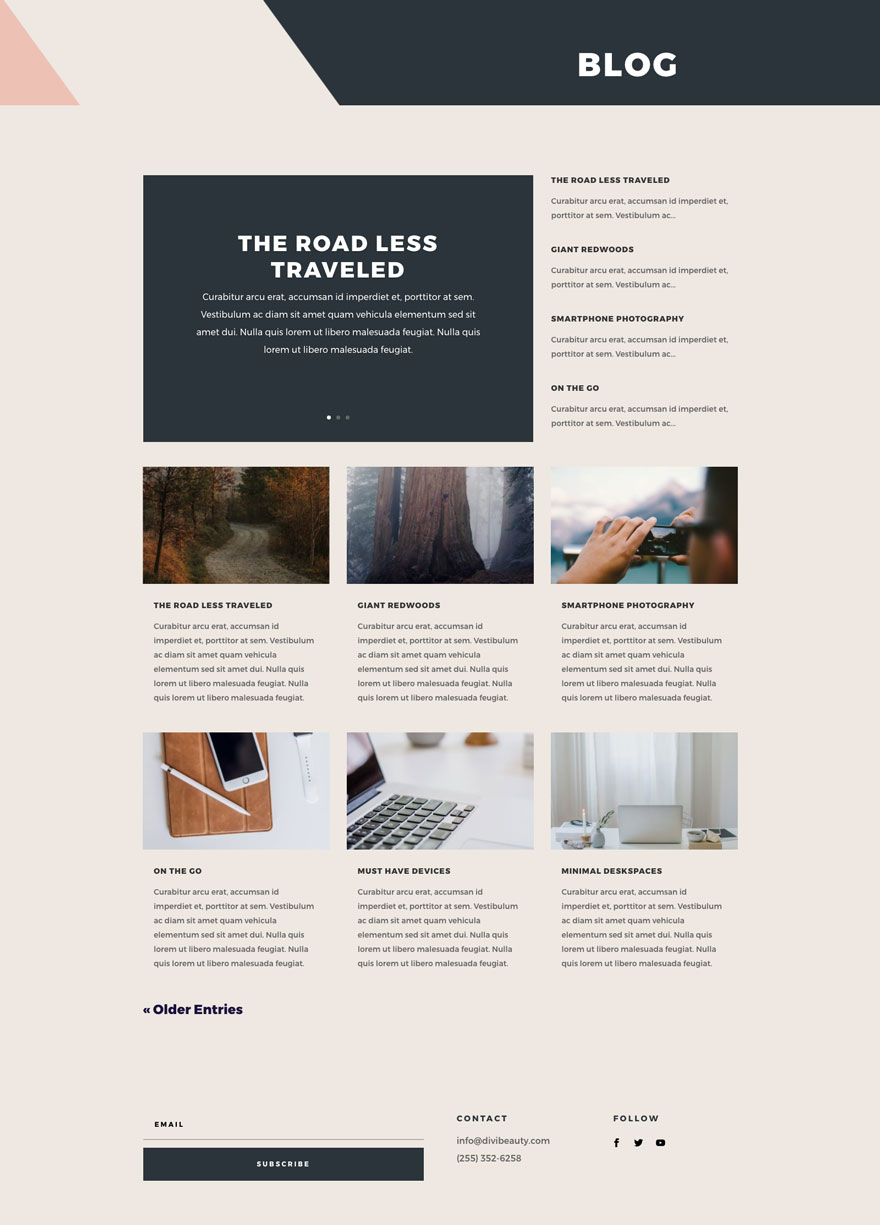 Beauty Product Blog Page Divi Layout by Elegant Themes