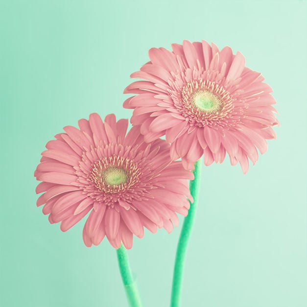 Flowers For Her