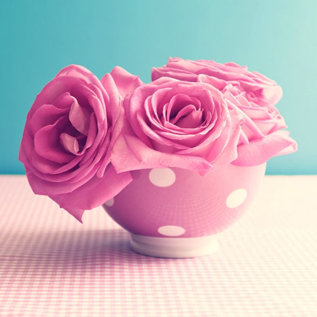 Beautiful Flowers